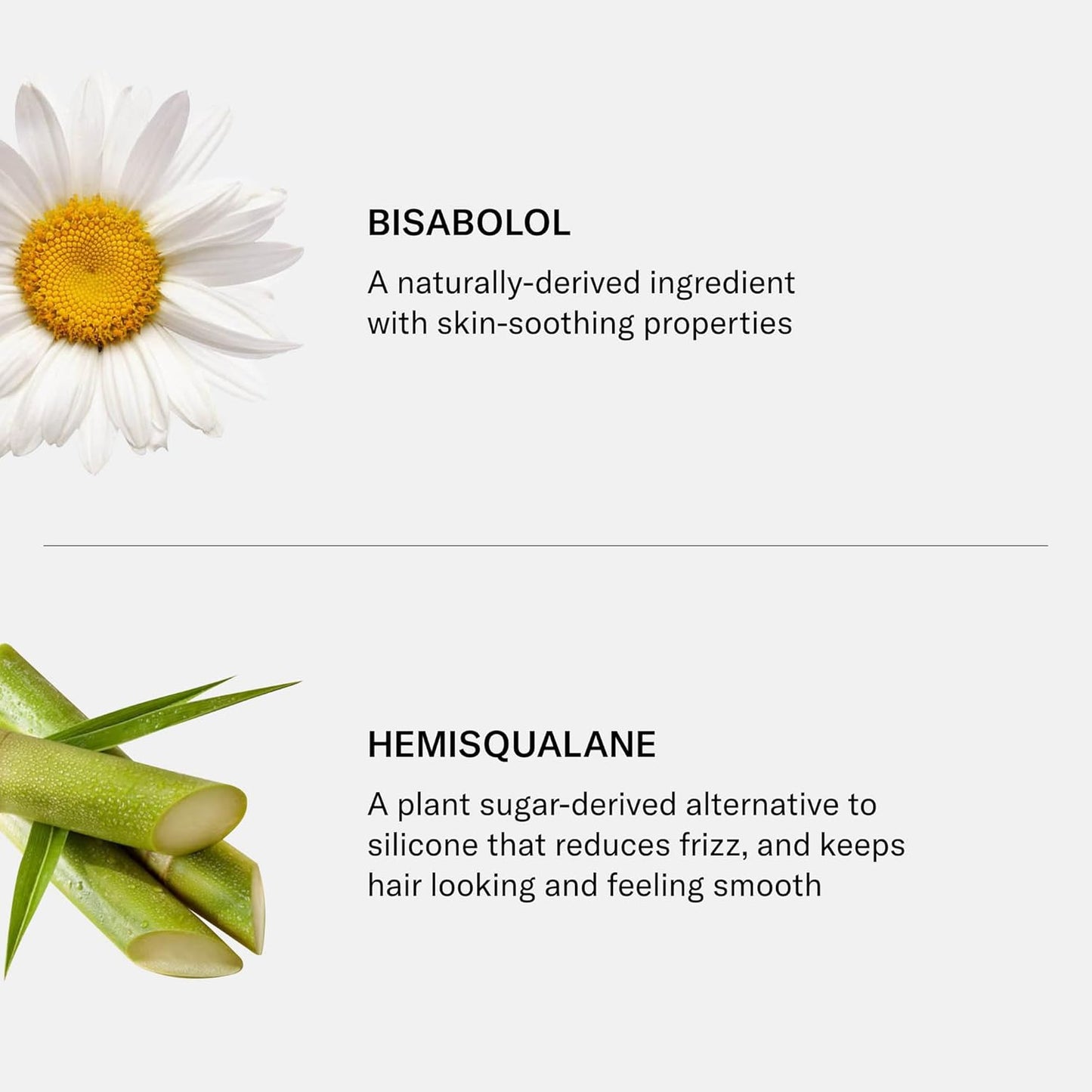 SEEN Deeper Conditioner - Scented - Non-Comedogenic & Sulfate-Free Hair Conditioner- Dermatologist-Developed - Safe for Sensitive & Acne Prone Skin