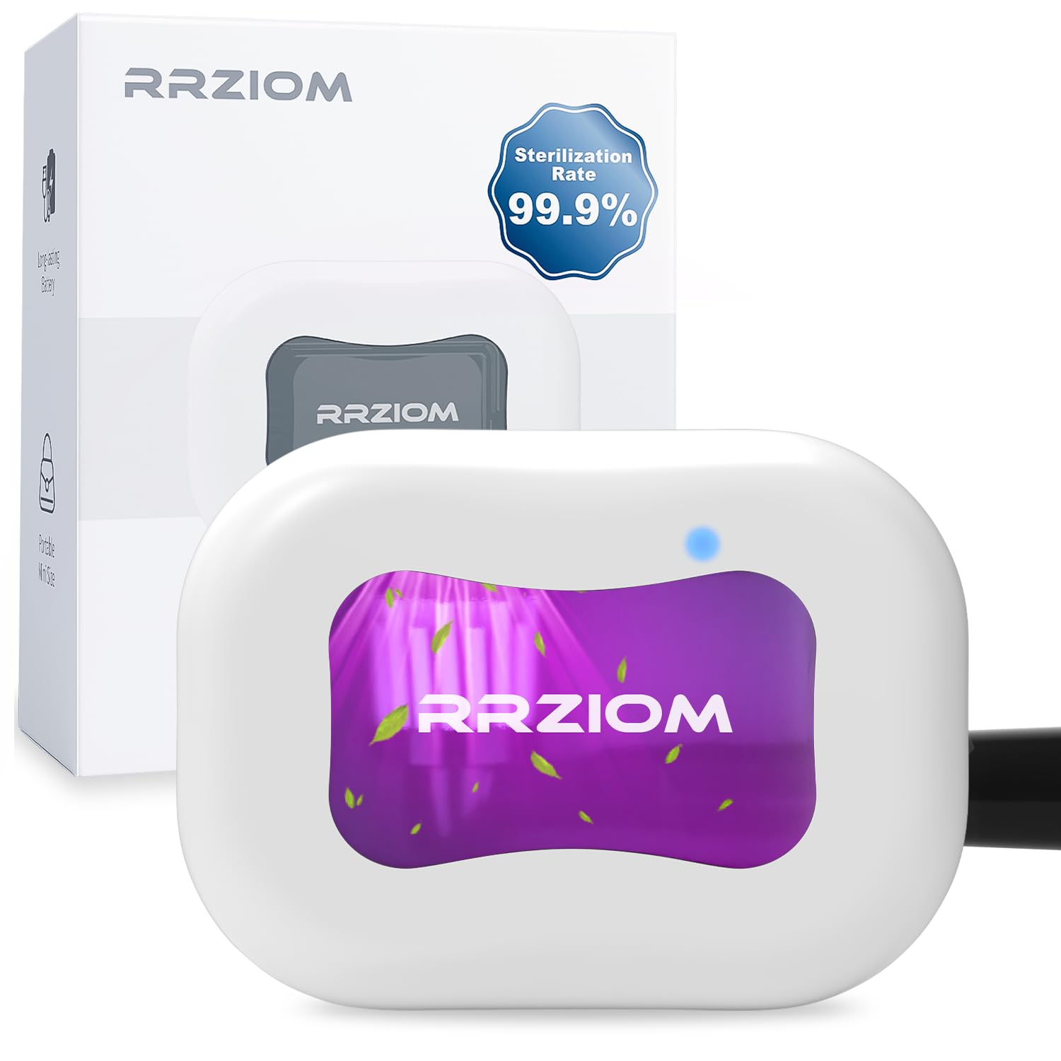 Toothbrushes & Accessories