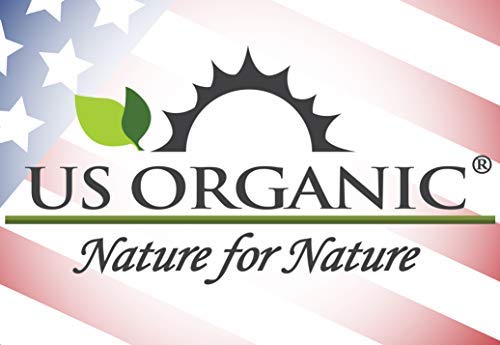 US Organic 100% Pure Basil Essential Oil - USDA Certified Organic, Steam Distilled, 15 ml