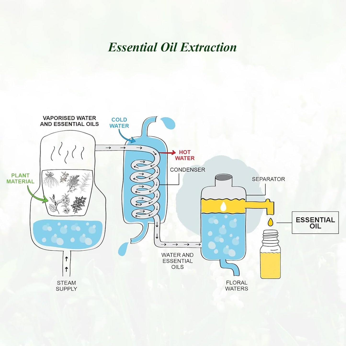 Mumianhua Pure White Musk Essential Oil - Therapeutic Grade Undiluted for Aromatherapy, Perfume Making & Skin Care, Vegan Musk Fragrance Oil 10ml