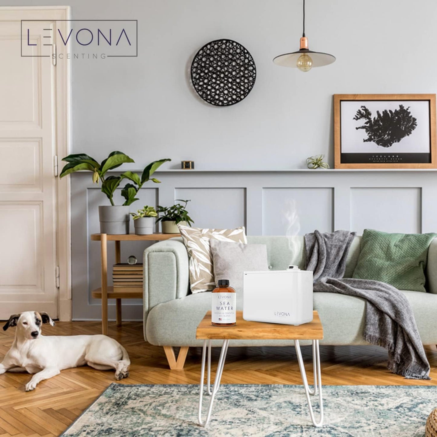 Levona Scent Sea Water Essential Oils for Diffuser for Home - Hotel and Home Luxury Scents - Fragrance Oil - Diffuser Oils Scents - Oil Diffuser Essential Oils for Humidifiers - 700Ml Aroma Oil Blend