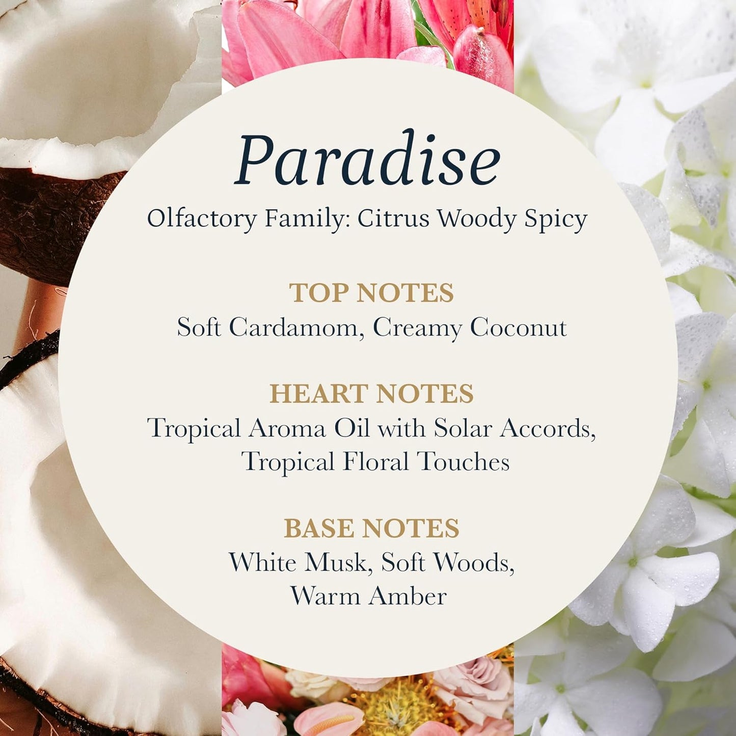 PuroSentido Paradise Tropical Aroma Oil (500 ml) - Luxury Essential & Fragrance Oil for Diffusers and Humidifiers, Creamy Coconut, Floral Notes & Soft Woods Home & Hotel Scent
