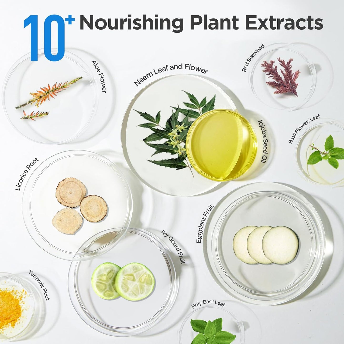 BIOCHEM Bi-Phase Eye & Lip Heavy Makeup Remover, Waterproof Mascara Remover, Gentle Cleanser liquid for Makeup with Natural Ingredients for Sensitive, Normal Skin Types (4.06 fl. oz / 120 ml)