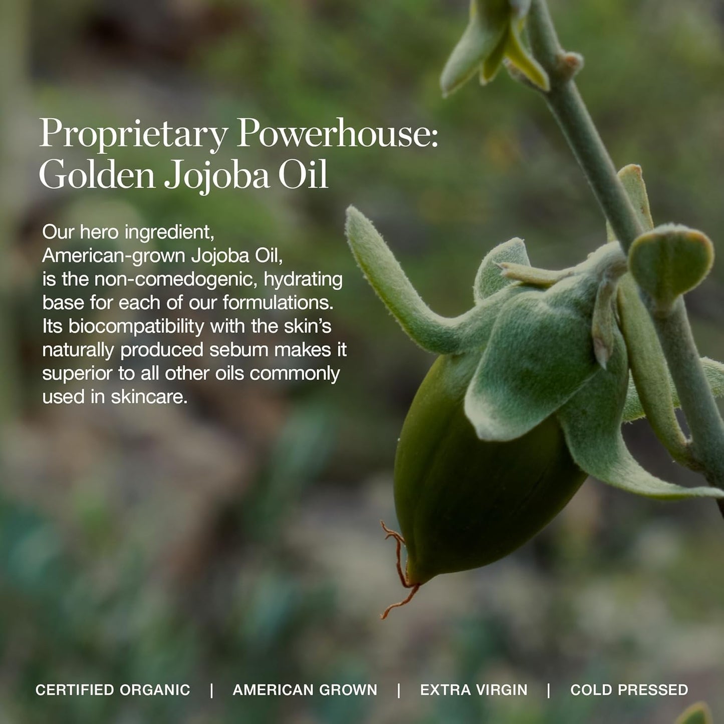 Ogee Complexion Perfecting Under Eye Concealer - Certified Organic Full Coverage Concealer - Buildable Coverage - LARCH 2.25C - Light Tan (Pink Undertones)