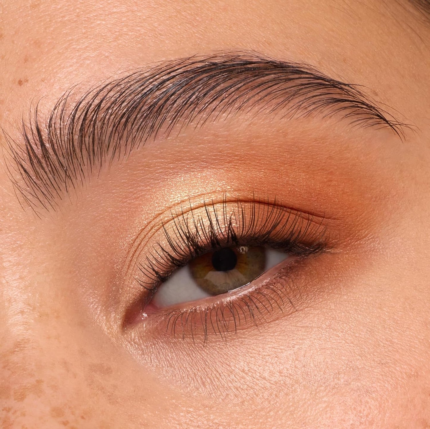 ColourPop Eyeshadow Palette - Eye Makeup Palette with Matte, Metallic, Matte Sparkle & Glitter Finishes - High-Pigment Eye Makeup with a Long-Wearing Formula - Feelin' Toasty (0.3 oz)