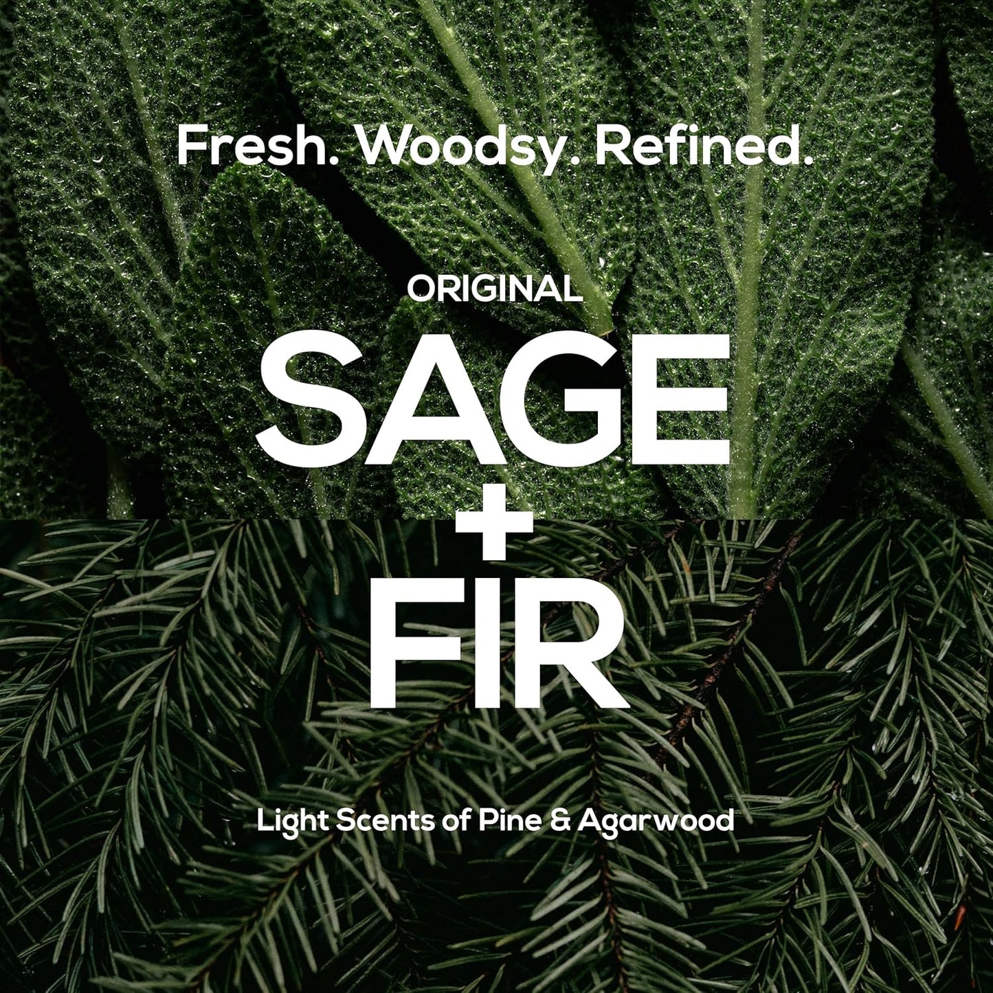 MARLOWE. No. 102 Body Scrub Soap 7 oz (3 Bars), Exfoliating Soap Bar with Shea Butter, Olive Oil & Green Tea Extracts, Cleanses, Smooths & Revitalizes Skin, Original Sage & Fir Scent